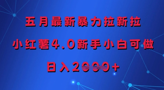 五月最新暴力拉新拉，小红薯4.0新手小白可做，日入多张-蚂蚁汇资源分享项目网