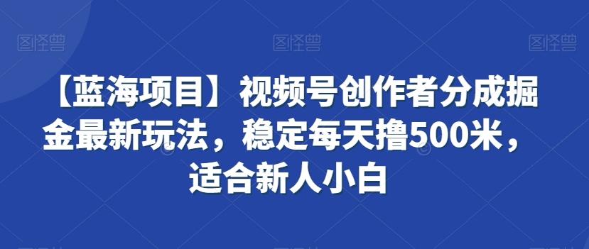 【蓝海项目】视频号创作者分成掘金最新玩法，稳定每天撸500米，适合新人小白【揭秘】-蚂蚁汇资源分享项目网