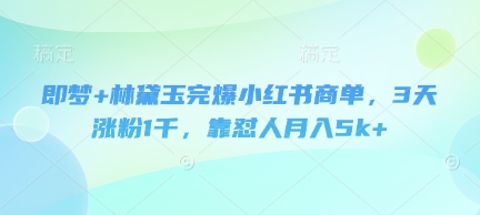 即梦+林黛玉完爆小红书商单，3天涨粉1千，靠怼人月入5k+-蚂蚁汇资源分享项目网