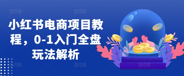 小红书电商项目教程，0-1入门全盘玩法解析-蚂蚁汇资源分享项目网