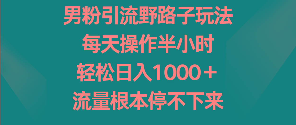 男粉引流野路子玩法，每天操作半小时轻松日入1000＋，流量根本停不下来-蚂蚁汇资源分享项目网
