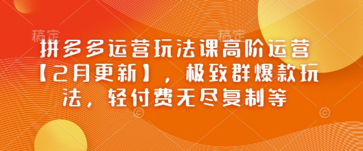 拼多多运营玩法课高阶运营【2月更新】，极致群爆款玩法，轻付费无尽复制等-蚂蚁汇资源分享项目网