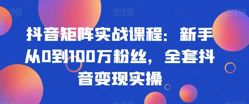 抖音矩阵实战课程：新手从0到100万粉丝，全套抖音变现实操-蚂蚁汇资源分享项目网