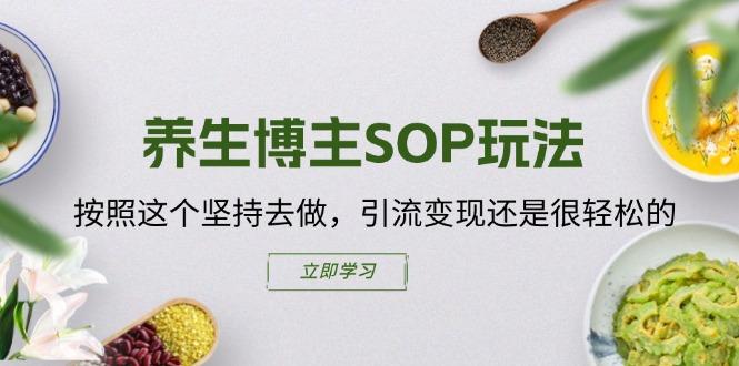 养生博主SOP玩法，按照这个坚持去做，引流变现还是很轻松的-蚂蚁汇资源分享项目网