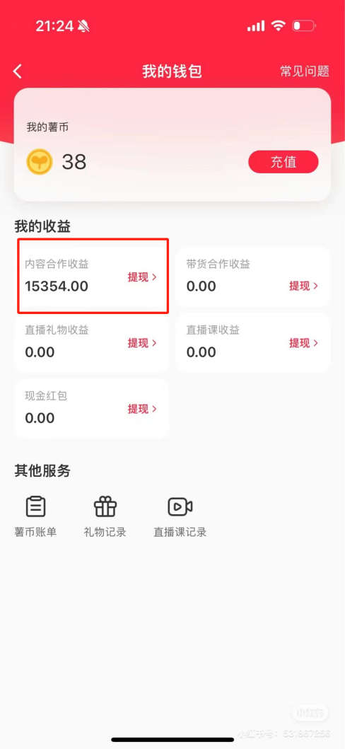 热门评论引爆小红书流量，作品制作简单，广告接到手软，月入过万不是梦-蚂蚁汇资源分享项目网