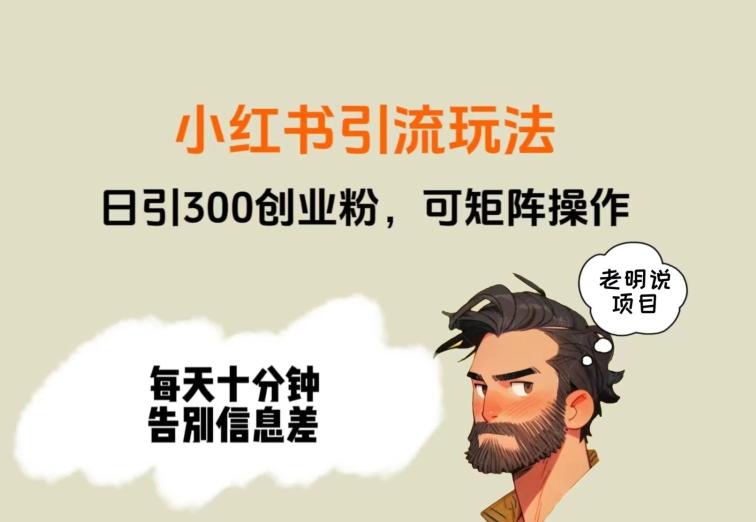 靠小红书视频日印300粉，两分钟一个视频轻松矩阵-蚂蚁汇资源分享项目网