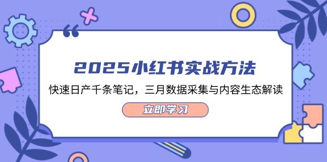 2025小红书实战方法，快速日产千条笔记，三月数据采集与内容生态解读-蚂蚁汇资源分享项目网