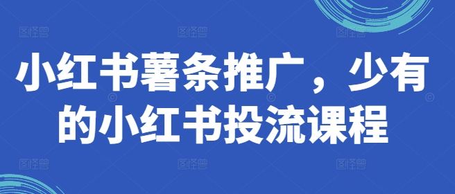 小红书薯条推广，少有的小红书投流课程-蚂蚁汇资源分享项目网