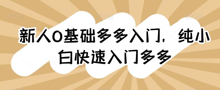 新人0基础多多入门，​纯小白快速入门多多-蚂蚁汇资源分享项目网