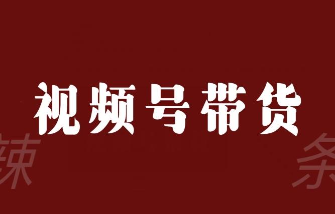 视频号带货联盟，赚信息差的带货钱，只需手机随时随地都可以做！-蚂蚁汇资源分享项目网