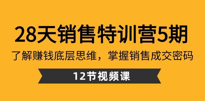 28天销售特训营5期：了解赚钱底层思维，掌握销售成交密码（12节课）-蚂蚁汇资源分享项目网