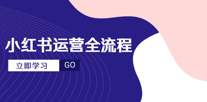 小红书运营全流程，爆款选题文案，视频制作技巧，进阶达人宝典-蚂蚁汇资源分享项目网