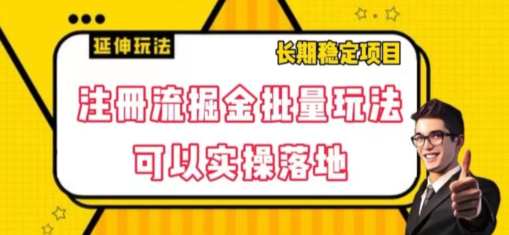 注册流掘金批量玩法，可以实操落地【揭秘】-蚂蚁汇资源分享项目网