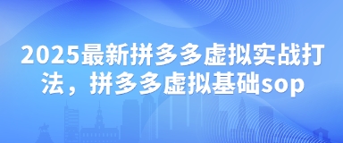 2025最新拼多多虚拟实战打法，拼多多虚拟基础sop-蚂蚁汇资源分享项目网