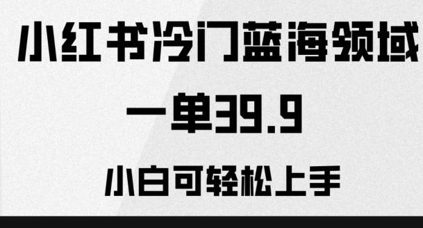 小红书冷门蓝海领域，一单39.9，小白可轻松上手-蚂蚁汇资源分享项目网