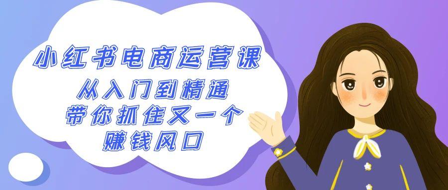 2024小红书电商运营课，从入门到精通，带你抓住又一个赚钱风口(50节课)-蚂蚁汇资源分享项目网
