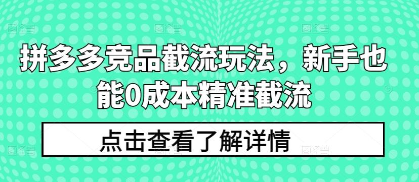 拼多多竞品截流玩法，新手也能0成本精准截流-蚂蚁汇资源分享项目网