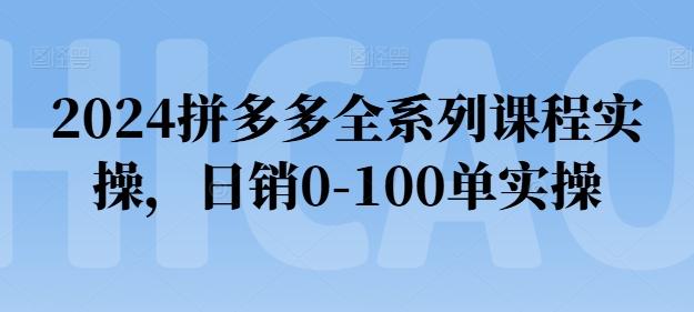 2024拼多多全系列课程实操，日销0-100单实操【必看】-蚂蚁汇资源分享项目网