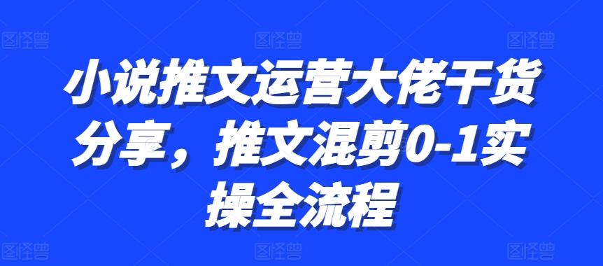 小说推文运营大佬干货分享，推文混剪0-1实操全流程-蚂蚁汇资源分享项目网