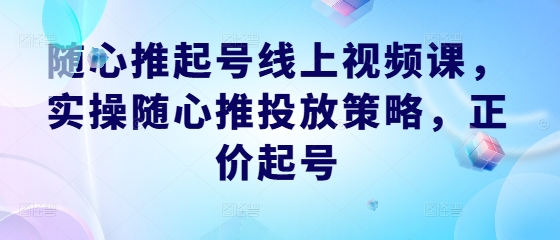 随心推起号线上视频课，实操随心推投放策略，正价起号-蚂蚁汇资源分享项目网