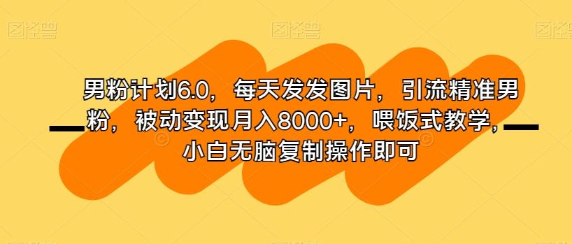 男粉计划6.0，每天发发图片，引流精准男粉，被动变现月入8000+，喂饭式教学，小白无脑复制操作即可-蚂蚁汇资源分享项目网