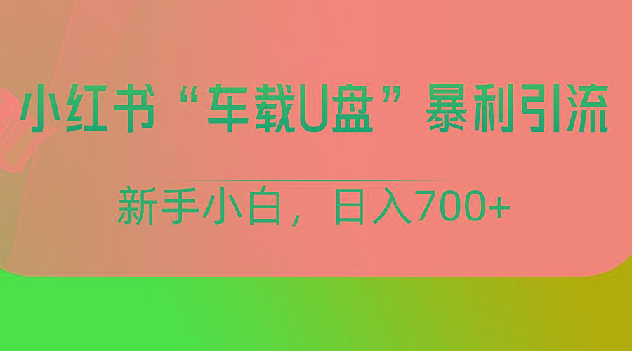 小红书“车载U盘”项目，暴利引流，新手小白轻松日入700+-蚂蚁汇资源分享项目网