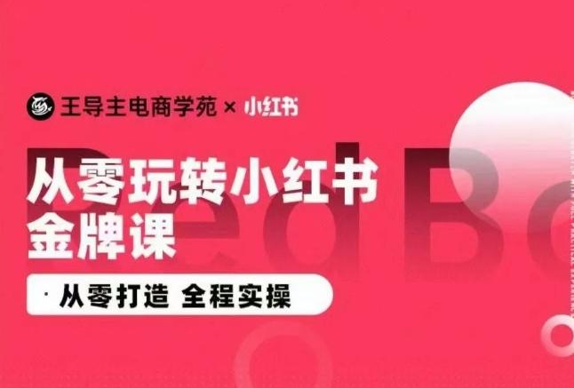 王导主·小红书电商运营实操课，​从零打造  全程实操-蚂蚁汇资源分享项目网