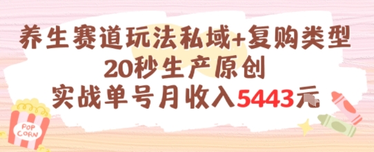 养生赛道玩法私域+复购类型，20秒生产原创实战单号月收入5k+-蚂蚁汇资源分享项目网