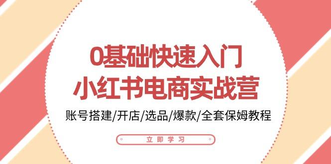 0基础快速入门-小红书电商实战营：账号搭建/开店/选品/爆款/全套保姆教程-蚂蚁汇资源分享项目网