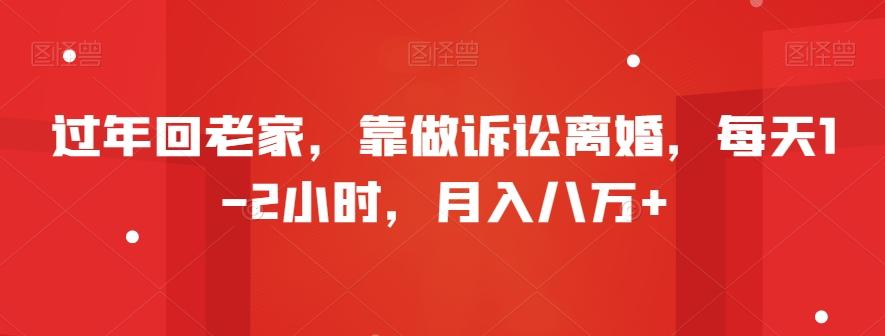 过年回老家，靠做诉讼离婚，每天1-2小时，月入八万+-蚂蚁汇资源分享项目网