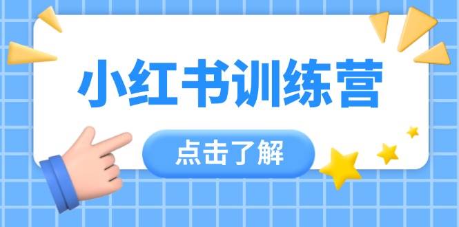 小红书训练营，助小白入门，掌握技巧变达人，课程实操又全面(12节课)-蚂蚁汇资源分享项目网