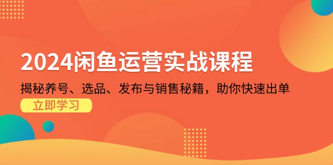 2024闲鱼运营实战课程：揭秘养号、选品、发布与销售秘籍，助你快速出单-蚂蚁汇资源分享项目网