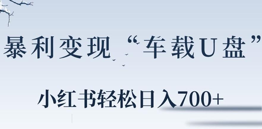 小红书“车载U盘”暴利引流，日入700+-蚂蚁汇资源分享项目网