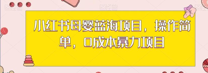 小红书母婴蓝海项目，操作简单，0成本暴力项目-蚂蚁汇资源分享项目网