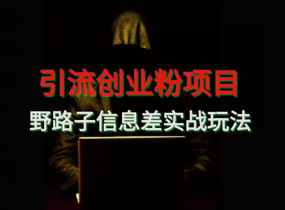 【引流创业粉】野路子信息差玩法实战教学-蚂蚁汇资源分享项目网