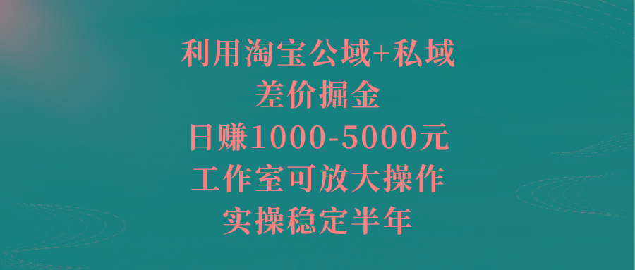 利用淘宝公域+私域差价掘金，日赚1000-5000元，工作室可放大操作，实操…-蚂蚁汇资源分享项目网