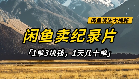 闲鱼卖纪录片1单3块钱，1天几十单，项目稳定有潜力-蚂蚁汇资源分享项目网