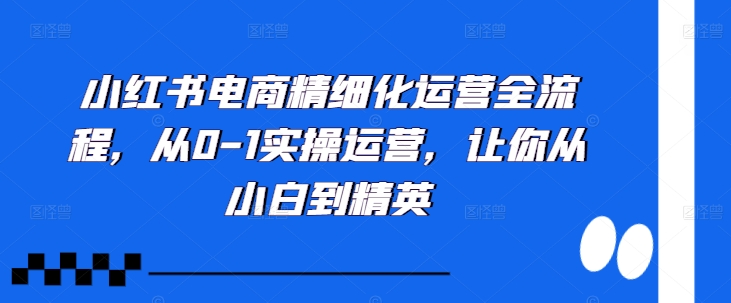 小红书电商精细化运营全流程，从0-1实操运营，让你从小白到精英-蚂蚁汇资源分享项目网