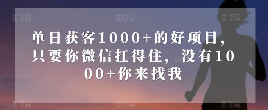 单日获客1000+的好项目，只要你微信扛得住，没有1000+你来找我【揭秘】-蚂蚁汇资源分享项目网