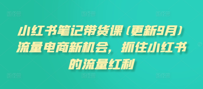 小红书笔记带货课(更新25年6月)流量电商新机会，抓住小红书的流量红利-蚂蚁汇资源分享项目网