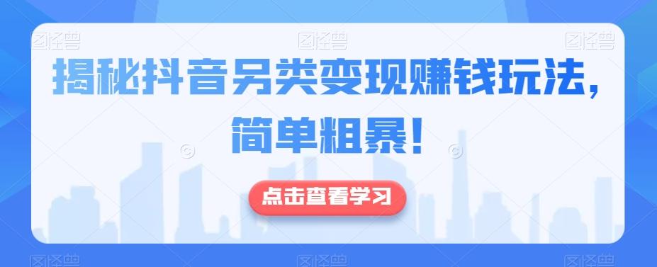 揭秘抖音另类变现赚钱玩法，简单粗暴！-蚂蚁汇资源分享项目网