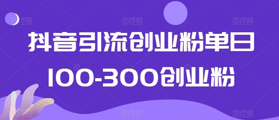 抖音引流创业粉单日100-300创业粉【揭秘】-蚂蚁汇资源分享项目网