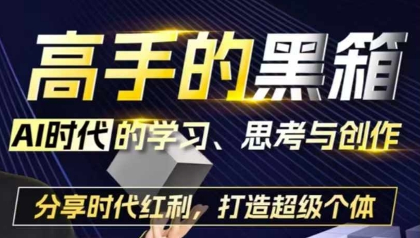 高手的黑箱：AI时代学习、思考与创作-分红时代红利，打造超级个体-蚂蚁汇资源分享项目网