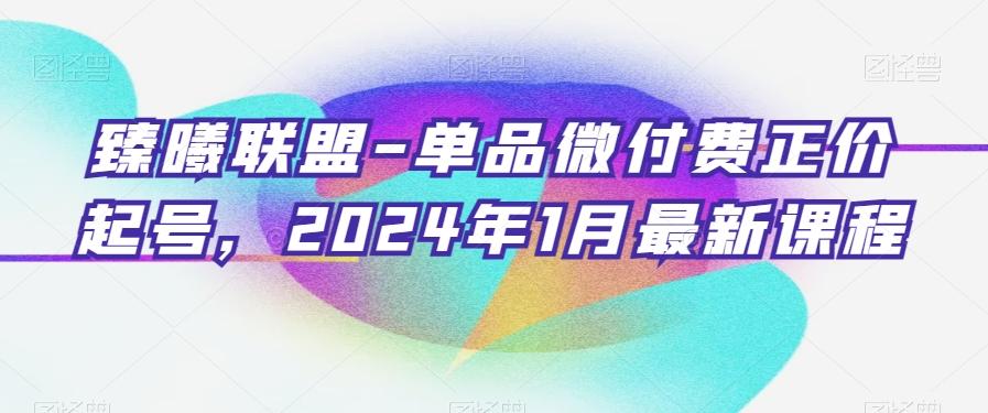 臻曦联盟-单品微付费正价起号，2024年1月最新课程-蚂蚁汇资源分享项目网