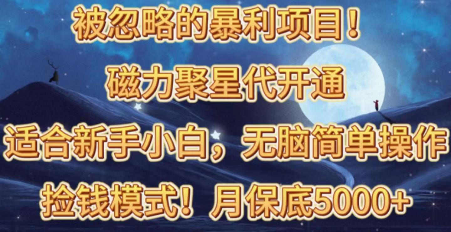 被忽略的暴利项目！磁力聚星代开通捡钱模式，轻松月入五六千-蚂蚁汇资源分享项目网