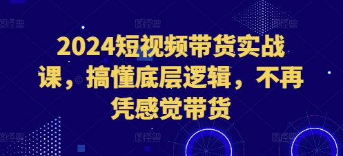 2024短视频带货实战课，搞懂底层逻辑，不再凭感觉带货-蚂蚁汇资源分享项目网