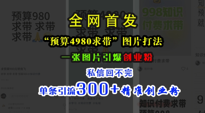 小红书“预算4980带我飞”图片打法，一张图片引爆创业粉，私信回不完，单条引流300+精准创业粉-蚂蚁汇资源分享项目网