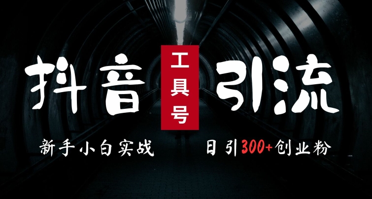 2024最新抖音工具号引流玩法，高效日引300+创业粉，当天变现5k，小白也可成为实战高手-蚂蚁汇资源分享项目网