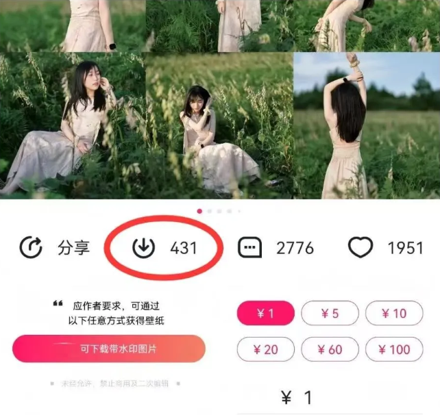 最新图虫搬运项目，收益无上限，利用AI小白也可日赚500+-蚂蚁汇资源分享项目网