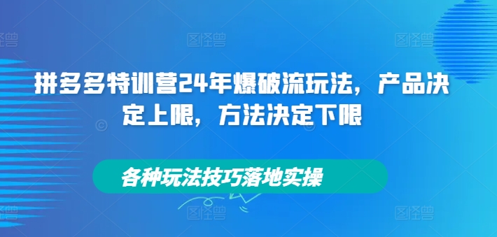 拼多多特训营24年爆破流玩法，产品决定上限，方法决定下限，各种玩法技巧落地实操-蚂蚁汇资源分享项目网